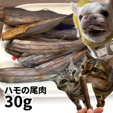 画像1: 【50%OFF】ロゴスペット 国産（兵庫県）ハモの尾肉 30g (1)