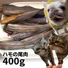 画像1: 【50%OFF】ロゴスペット 国産（兵庫県）ハモの尾肉 400g (1)