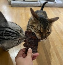 画像7: 国産 骨からそいだ鹿肉ジャーキー 犬用 400g 「低温熟成・鹿シリーズ」  ロゴスペット (7)