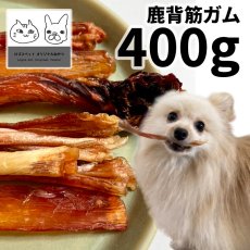 画像1: 「低温熟成・鹿シリーズ」 国産（兵庫県丹波産）鹿背筋ガム 犬用 400g ロゴスペット (1)